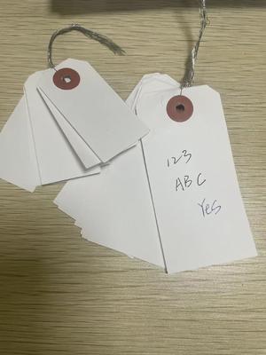 Vinyl Blank Gift Tag  PVC Tear Proof Waterproof Plastic Tag with Wire Tie